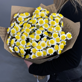 Букет "Моё солнышко" из 11 хризантем сантини  в Волоколамске