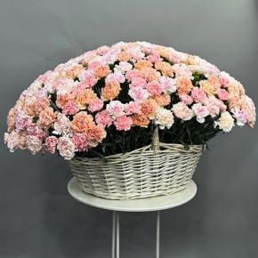 Композиция в корзине из 251 диантуса микс в Волоколамске