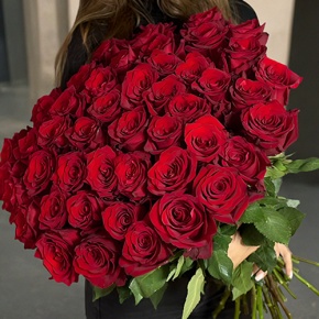 Букет 51 роза Эквадор Эксплорер (60 см) в Волоколамске