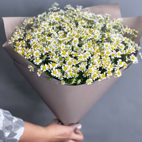 Букет из 17 ромашек танацетум в Волоколамске