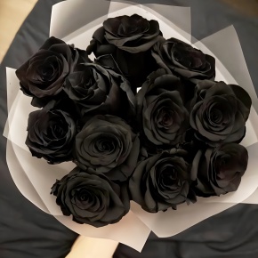Букет "Черная королева" из 11 черных роз Эквадор (60 см) в Волоколамске