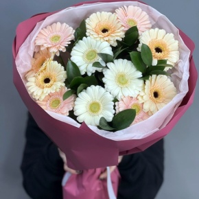 Букет из 13 белых гербер микс в Волоколамске