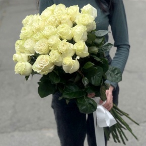 Монобукет из 25 роз Эквадор Мондиаль (80 см) в Волоколамске