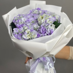 Букет из 5 фиолетовых гортензий в Волоколамске