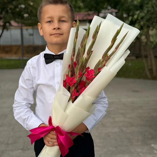 Букет на 1 сентября из 7 малиновых гладиолусов в Волоколамске