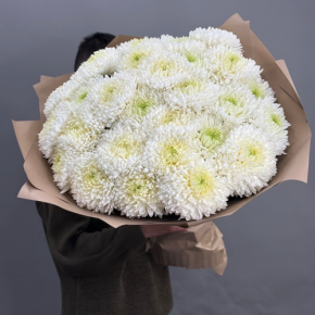 Букет из 27 хризантем Магнум в Волоколамске