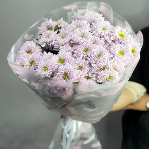 Букет "Нежный комплимент" из 9 кустовых хризантем в Волоколамске