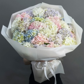 Букет из 23 гортензий микс в Волоколамске