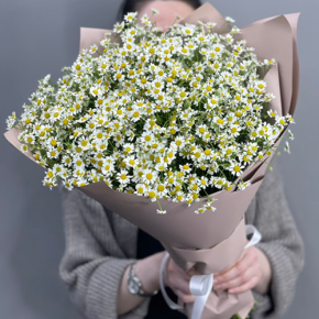 Букет из 17 полевых ромашек в Волоколамске
