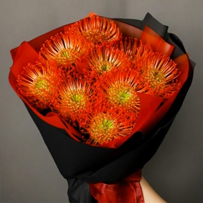 Букет из 9 лейко в Волоколамске