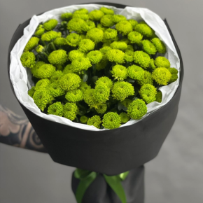 Стильный букет "Лайм" из 15 хризантем сантини в Волоколамске