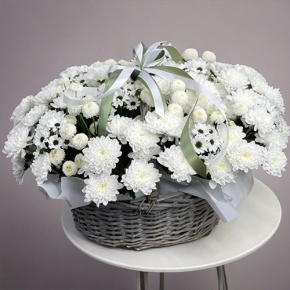 Композиция в корзине "Снежная лавина" из хризантем в Волоколамске