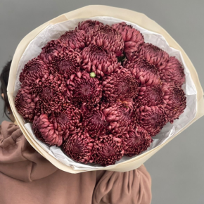 Букет 21 шоколадной хризантемы Бигоуди в Волоколамске