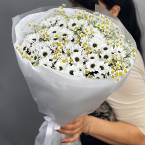 Букет "Понарошку" из хризантем сантини и ромашек в Волоколамске