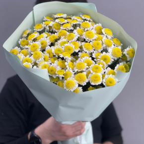 Букет "Моё солнышко" из 17 хризантем сантини  в Волоколамске