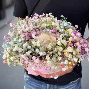 Композиция в коробке сердца из радужных гипсофил с топпером в Волоколамске