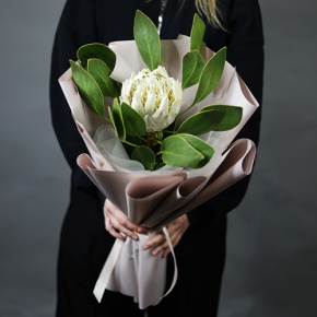 Букет "Великолепная" из экзотичной протеи в Волоколамске
