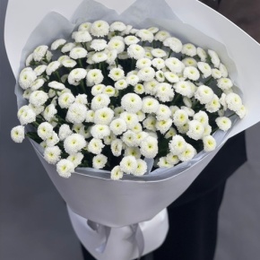 Букет "Белая дымка" из 25 хризантем сантини в Волоколамске