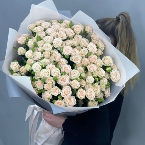 Букет из 25 кремовых кустовых роз (70 см) в Волоколамске