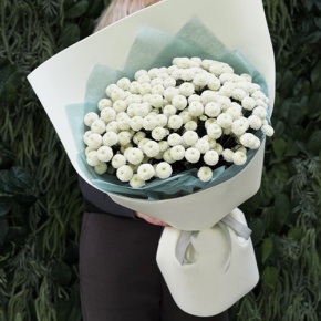 Букет из 25 хризантем Ньютон в Волоколамске