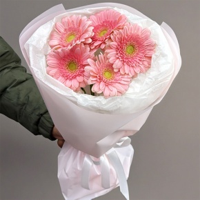 Букет из 5 розовых гербер мини в Волоколамске