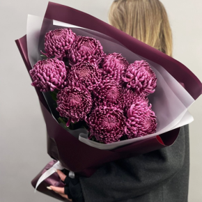 Букет "Изобилие" из 11 винных хризантем Бигоуди в Волоколамске