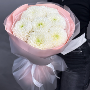 Нежный букет из 7 хризантем Магнум в Волоколамске