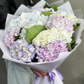 Букет из 9 Голландских гортензий микс в Волоколамске