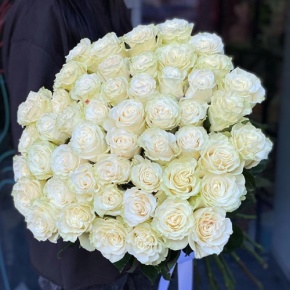 Букет из 51 розы Эквадор Мондиаль под ленту (80 см) в Волоколамске