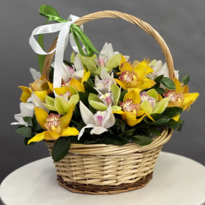 Композиция в корзине из 25 орхидей микс в Волоколамске