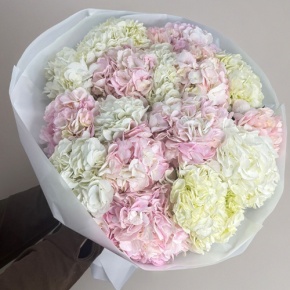 Букет из 17 нежных гортензий в Волоколамске