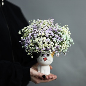 Композиция из гипсофил в керамическом кашпо в Волоколамске