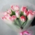 Букет "Фламинго" из 11 пионовидных тюльпанов в Волоколамске