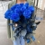 15 синих LUX роз Эквадор (70 см) в Волоколамске