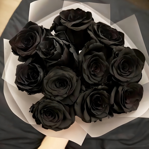 Букет "Черная королева" из 11 черных роз Эквадор (60 см) в Волоколамске