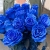 15 синих LUX роз Эквадор (70 см) в Волоколамске