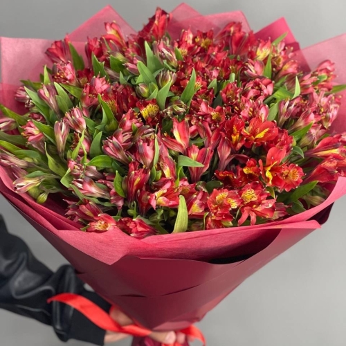 Монобукет из 25 красных альстромерий в Волоколамске