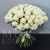 Букет 75 белых роз Эквадор Мондиаль (80 см) в Волоколамске