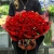 Букет 101 красная Кенийская роза (40 см) в Волоколамске