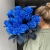 15 синих LUX роз Эквадор (70 см) в Волоколамске