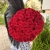 Букет 51 красной розы 50 см в Волоколамске