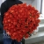 Букет 101 коралловая роза (60 см) в Волоколамске Букет 101 коралловая роза (60 см) в Волоколамске