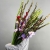 Букет из 25 гладиолусов микс в Волоколамске