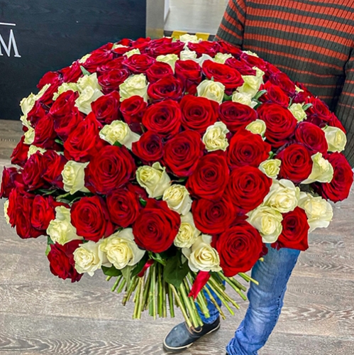 Букет 151 роза красный и белый микс (60 см) в Волоколамске