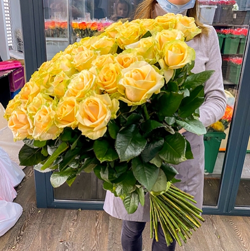 75 роз Аваланж (70 см) в Волоколамске