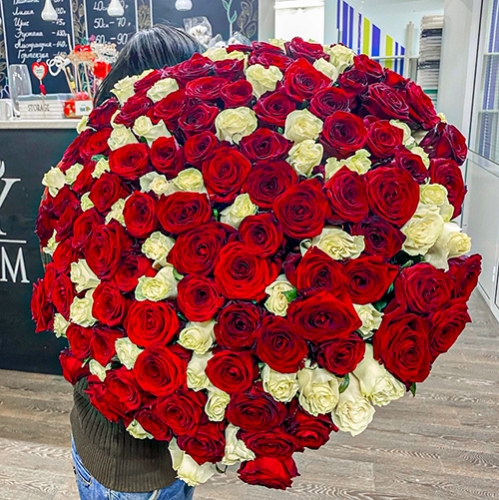 Букет 151 роза красный и белый микс (60 см) в Волоколамске
