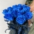 15 синих LUX роз Эквадор (70 см) в Волоколамске