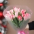 Букет "Фламинго" из 11 пионовидных тюльпанов в Волоколамске