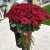 Букет из 101 красной розы (90 см) в Волоколамске