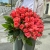 Букет 51 роза коралл (60 см) в Волоколамске Букет 51 роза коралл (60 см) в Волоколамске